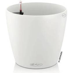 Lechuza Classico Color Pot