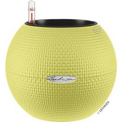 Lechuza Puro Color Pot Krukke