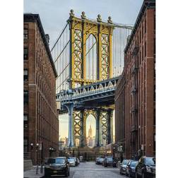 Komar Brooklyn (XXL2-013)