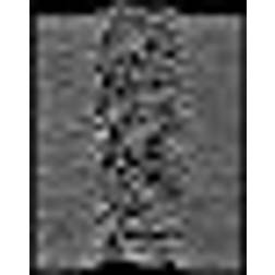 Joy Division Unknown Pleasures (LP)