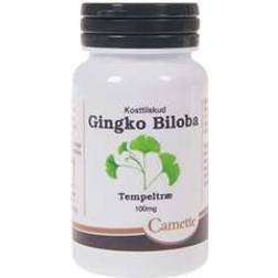 Camette Ginkgo Biloba 90 stk