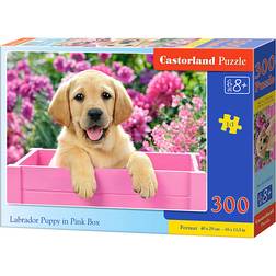 Castorland Labrador Puppy in Pink Box 300 Pieces