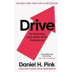 Drive: The Surprising Truth About What Motivates Us