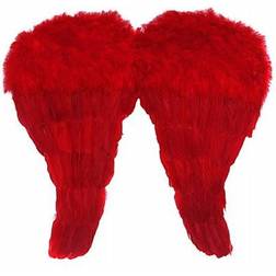 Boland Ailes Rouges Plumes