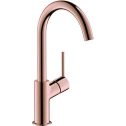 Hansgrohe Talis S2 Variarc (32080300) Mässing