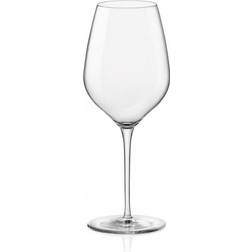 Exxent InAlto Red Wine Glass, White Wine Glass 43cl 24pcs