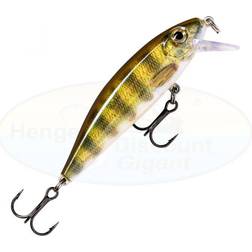 Rapala X Rap Countdown 5cm Live Perch