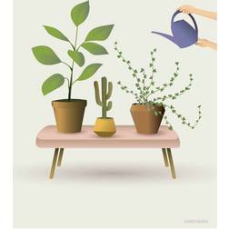 Vissevasse Growing Plants Poster 50x50cm