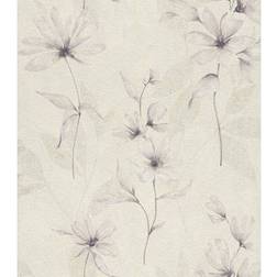 Rasch Lucera (608427)