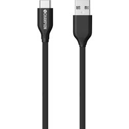 Champion Electronics USB A-USB C 3.1 1m