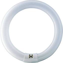 Bell 04197 Fluorescent Lamp 60W G10q