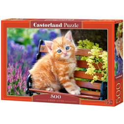 Castorland Ginger Kitten 500 Pieces