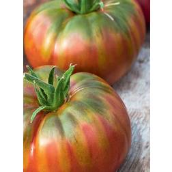 Seklos Tomato Noire De Creme