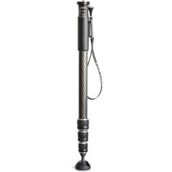 Gitzo GM2542 eXact carbon monopod series 2