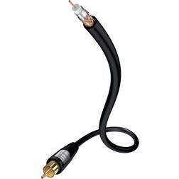 Inakustik Star Video RCA - RCA 0.8m