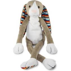 Zazu Bo Nattlampa