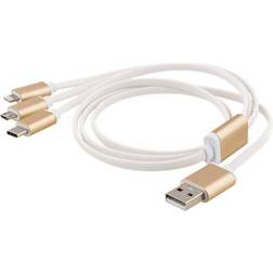 Epzi USB A - USB C/Micro USB B/Lightning M-M 1m