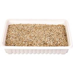 Trixie Cat Grass Seed