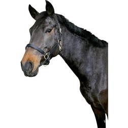 Kerbl Lederen halster pony eco Noir