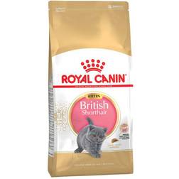 Royal Canin British Shorthair Kitten 10kg