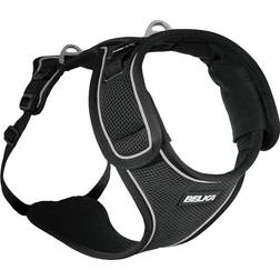 CURLI Belka Harness