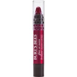 Burt's Bees Gloss Lip Crayon Pacific Coast