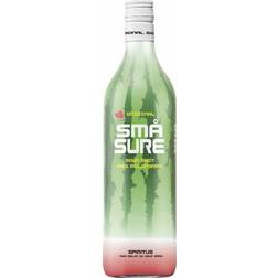 Små Sure Melon Shot 16.4% 100 cl