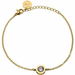 Edblad Stella Bracelet - Gold/Transparent