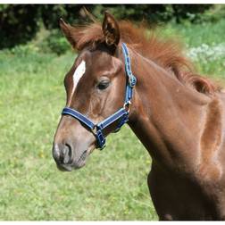 Kerbl Foal Exclusive