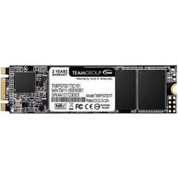 TeamGroup MS30 SSD 256 Go interne M.2 2280 SATA 6Gb/s