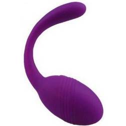 Adrien Lastic Smart Dream