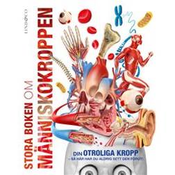 Stora boken om människokroppen: din fantastiska kropp som du aldrig förr sett den (Inbunden)