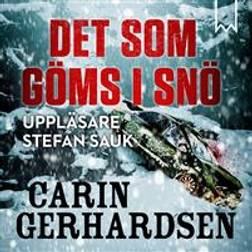 Det som göms i snö (Ljudbok, MP3, 2018)