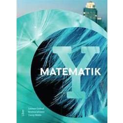 Matematik Y (Häftad)