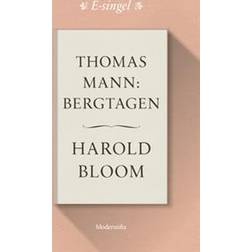 Thomas Mann: Bergtagen (E-bok, 2018)