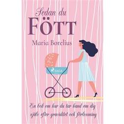 Sedan du fött: en bok om hur du tar hand om dig själv efter graviditet och förlossning (Häftad)