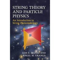 String Theory and Particle Physics (Inbunden, 2012)