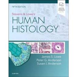 Stevens & Lowe's Human Histology (Paperback, 2019)