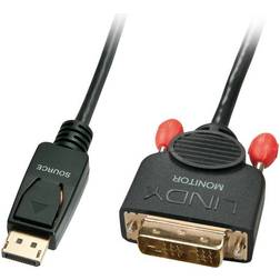 Lindy DVI-DisplayPort Ferrite