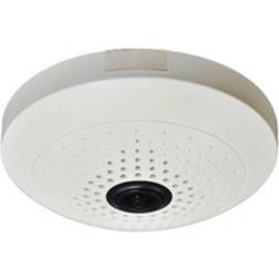 LevelOne Panoramic Dome Network Camera 10-Megapix