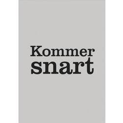 Vild mad i køkkenet (Indbundet, 2019)