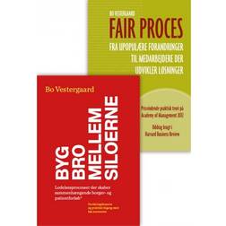 Fair proces & Byg bro mellem siloerne (Ukendt format, 2018) (2018)