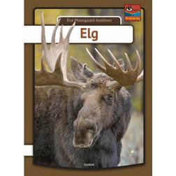 Elg (Indbundet, 2019)