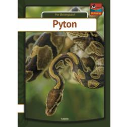 Pyton (Indbundet, 2019)