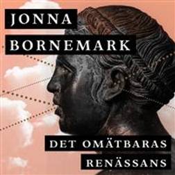 Det omätbaras renässans: En uppgörelse med pedanternas världsherravälde (Ljudbok, MP3, 2019)