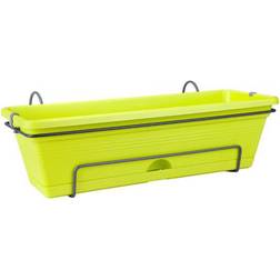 Elho Green Basics Trough Allin1 Box Plantekasse