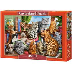 Castorland House of Cats 2000 Bitar