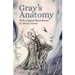 Gray's Anatomy (Paperback, 2019)