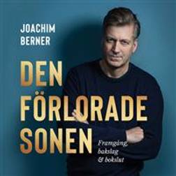 Den förlorade sonen: bakslag, framgång, bokslut (Ljudbok, MP3, 2019)