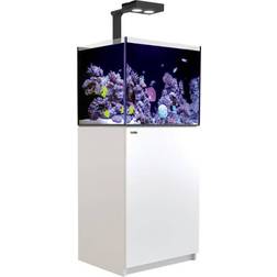 Red Sea Reefer Deluxe 350